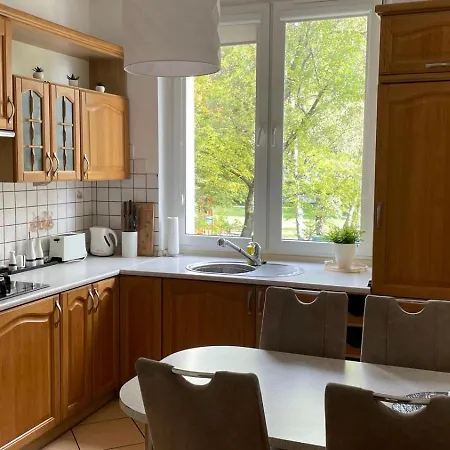 Silver Apartment Wroclaw